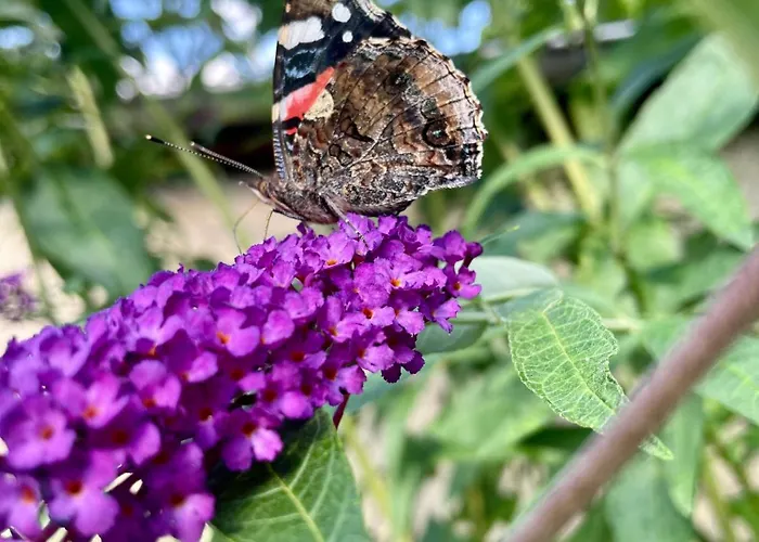 Stadtfeder Apartman Dessau-Rosslau